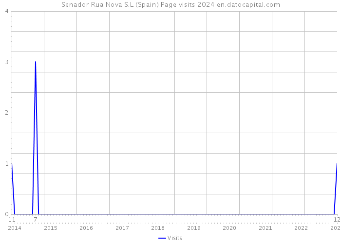 Senador Rua Nova S.L (Spain) Page visits 2024 