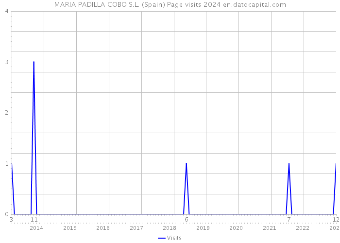 MARIA PADILLA COBO S.L. (Spain) Page visits 2024 