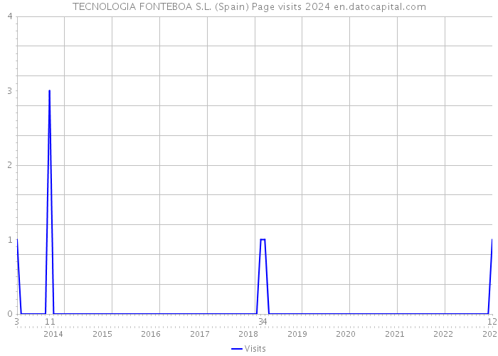 TECNOLOGIA FONTEBOA S.L. (Spain) Page visits 2024 