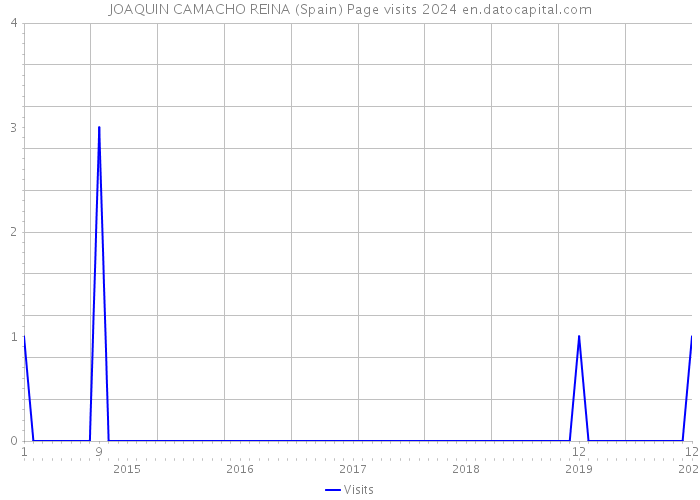 JOAQUIN CAMACHO REINA (Spain) Page visits 2024 