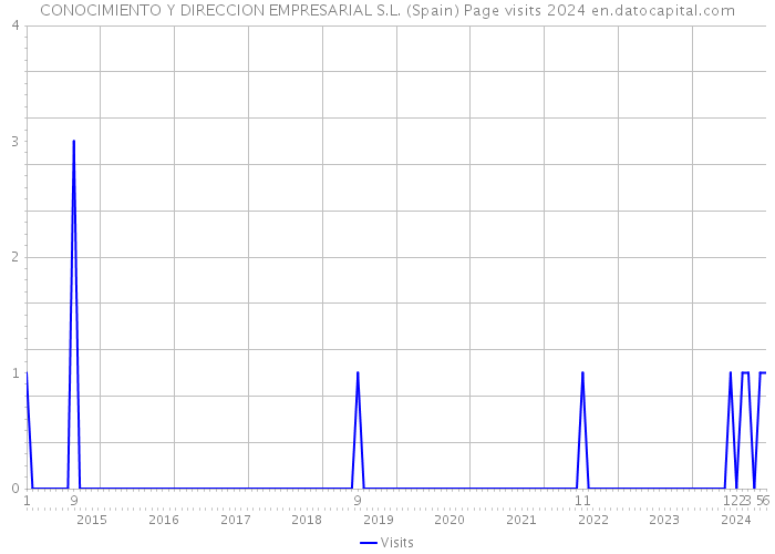 CONOCIMIENTO Y DIRECCION EMPRESARIAL S.L. (Spain) Page visits 2024 