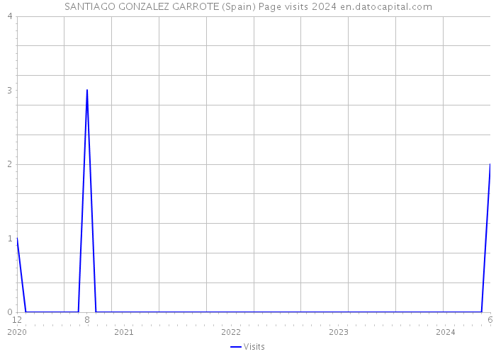 SANTIAGO GONZALEZ GARROTE (Spain) Page visits 2024 
