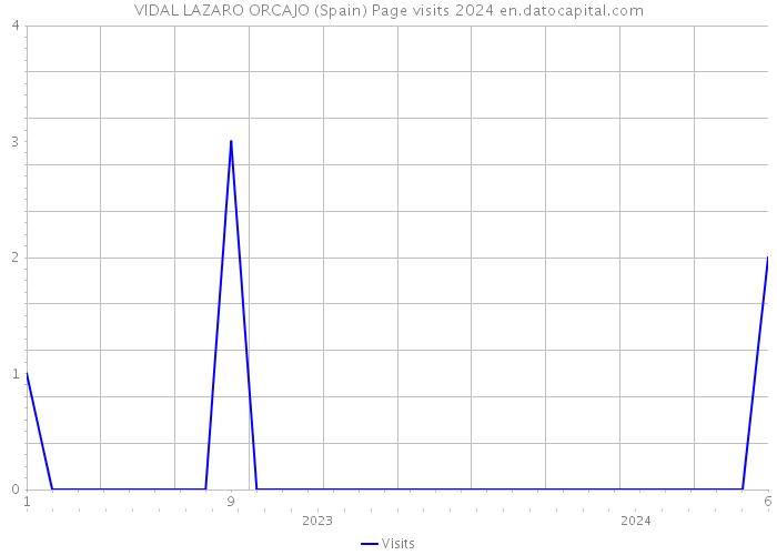 VIDAL LAZARO ORCAJO (Spain) Page visits 2024 