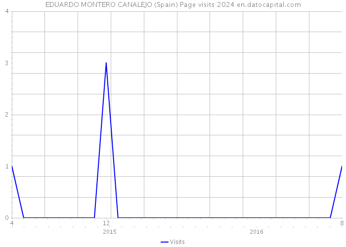 EDUARDO MONTERO CANALEJO (Spain) Page visits 2024 