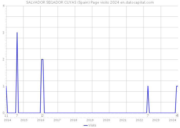 SALVADOR SEGADOR CUYAS (Spain) Page visits 2024 