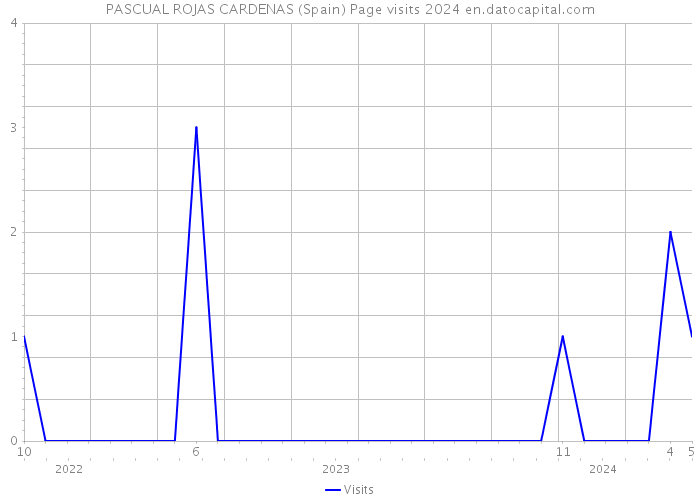 PASCUAL ROJAS CARDENAS (Spain) Page visits 2024 