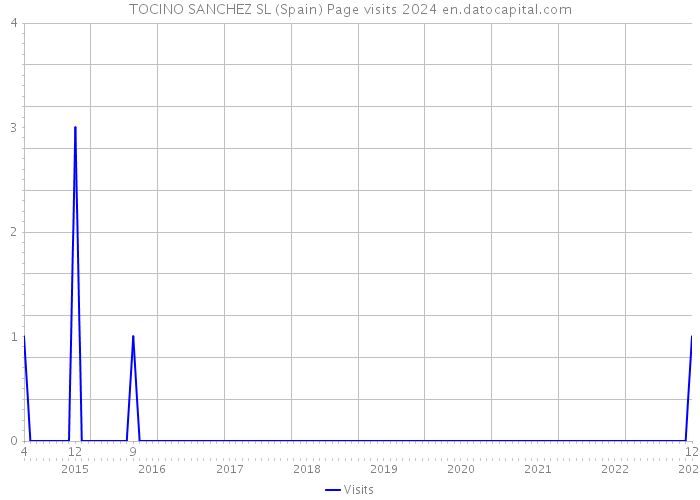 TOCINO SANCHEZ SL (Spain) Page visits 2024 