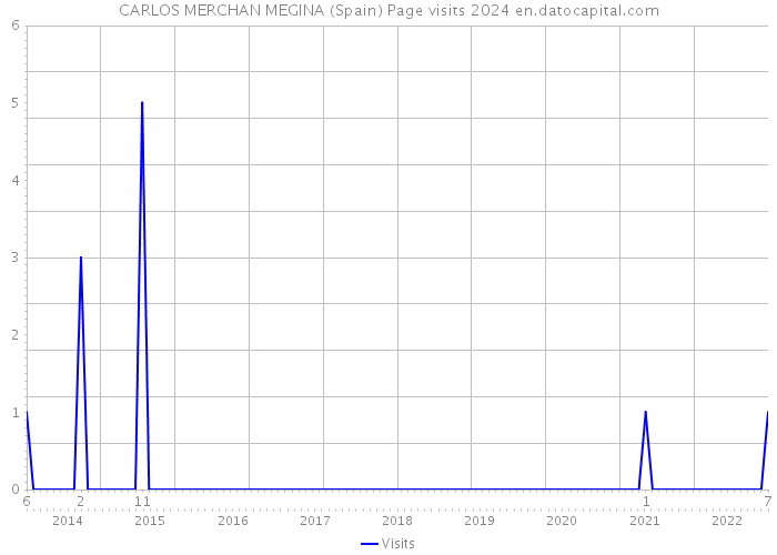 CARLOS MERCHAN MEGINA (Spain) Page visits 2024 