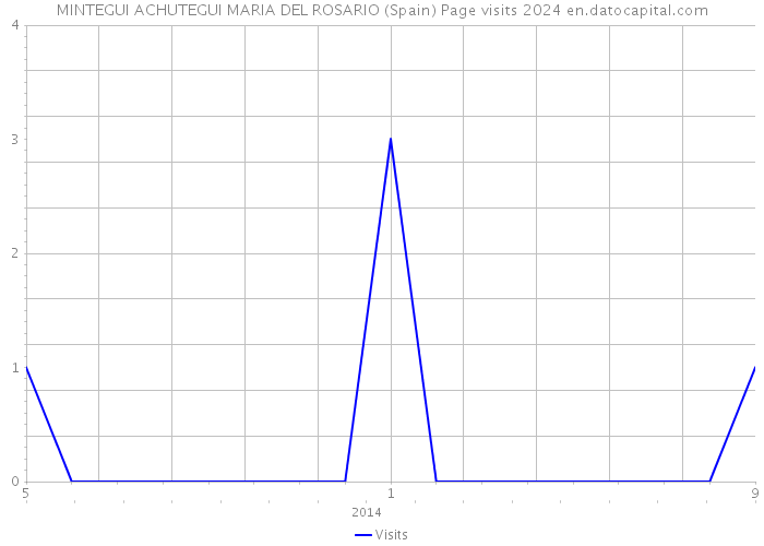 MINTEGUI ACHUTEGUI MARIA DEL ROSARIO (Spain) Page visits 2024 