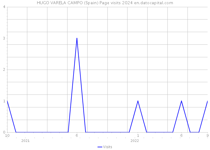 HUGO VARELA CAMPO (Spain) Page visits 2024 
