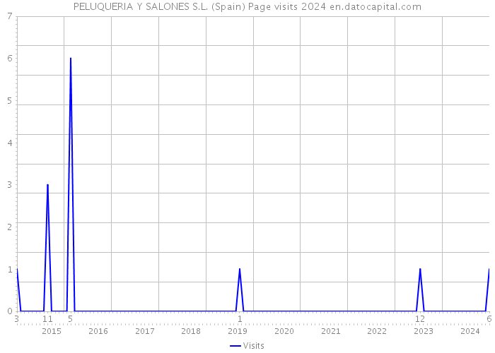 PELUQUERIA Y SALONES S.L. (Spain) Page visits 2024 