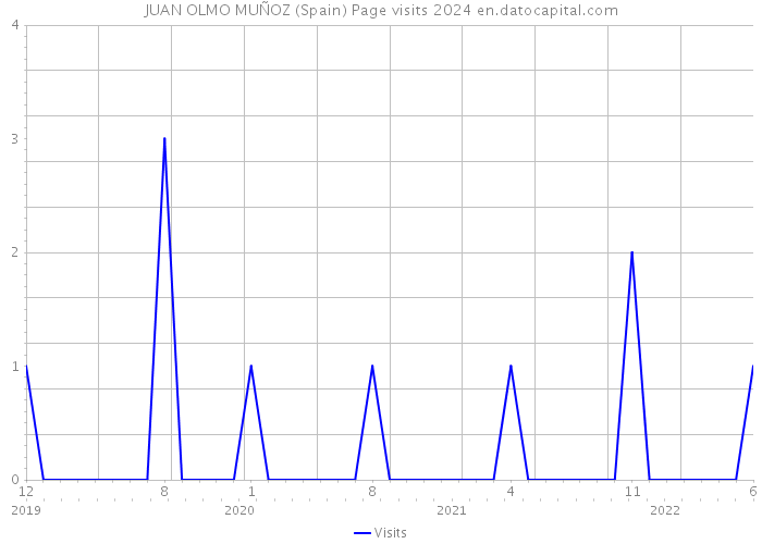 JUAN OLMO MUÑOZ (Spain) Page visits 2024 