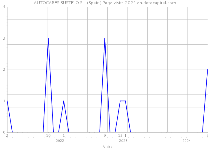 AUTOCARES BUSTELO SL. (Spain) Page visits 2024 