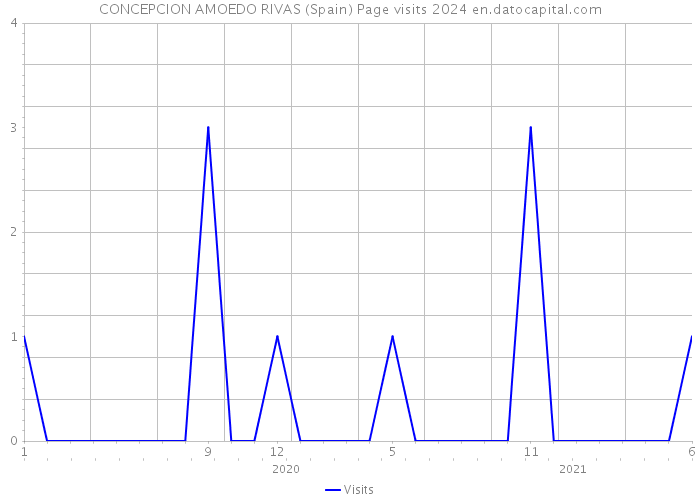 CONCEPCION AMOEDO RIVAS (Spain) Page visits 2024 