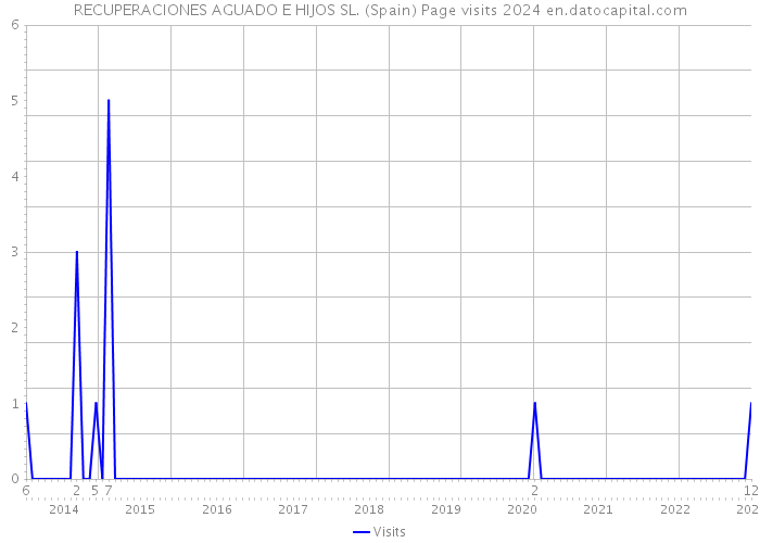 RECUPERACIONES AGUADO E HIJOS SL. (Spain) Page visits 2024 