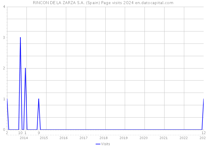 RINCON DE LA ZARZA S.A. (Spain) Page visits 2024 