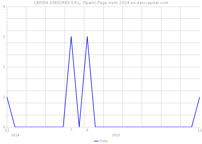 GEINSA ASESORES S.R.L. (Spain) Page visits 2024 