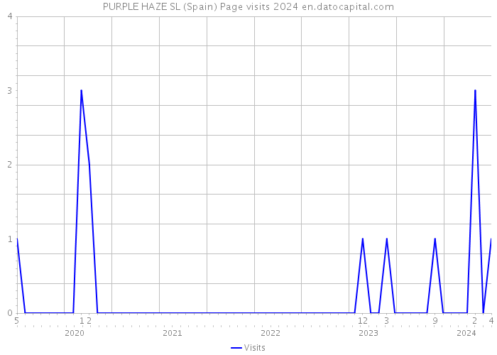 PURPLE HAZE SL (Spain) Page visits 2024 
