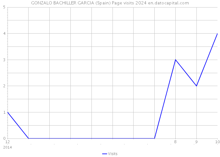 GONZALO BACHILLER GARCIA (Spain) Page visits 2024 