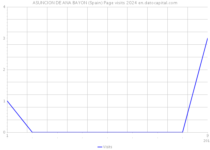 ASUNCION DE ANA BAYON (Spain) Page visits 2024 