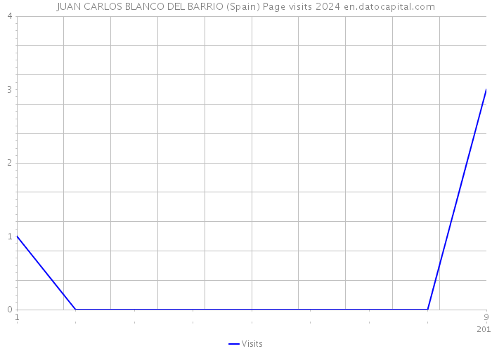 JUAN CARLOS BLANCO DEL BARRIO (Spain) Page visits 2024 