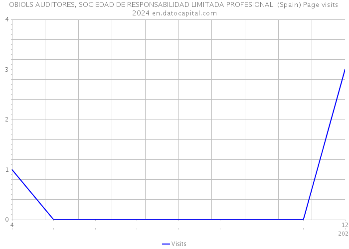 OBIOLS AUDITORES, SOCIEDAD DE RESPONSABILIDAD LIMITADA PROFESIONAL. (Spain) Page visits 2024 