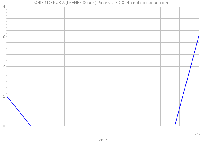 ROBERTO RUBIA JIMENEZ (Spain) Page visits 2024 