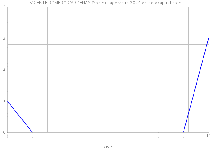 VICENTE ROMERO CARDENAS (Spain) Page visits 2024 