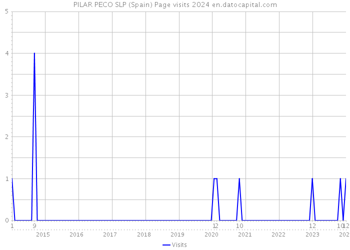 PILAR PECO SLP (Spain) Page visits 2024 