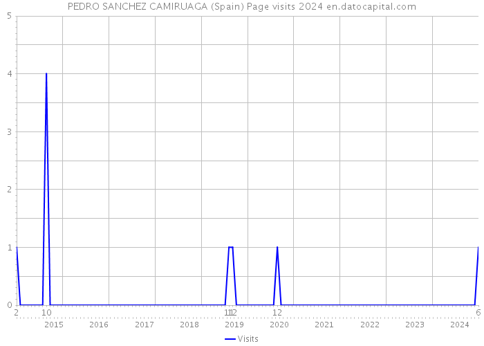 PEDRO SANCHEZ CAMIRUAGA (Spain) Page visits 2024 