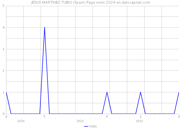 JESUS MARTINEZ TUBIO (Spain) Page visits 2024 