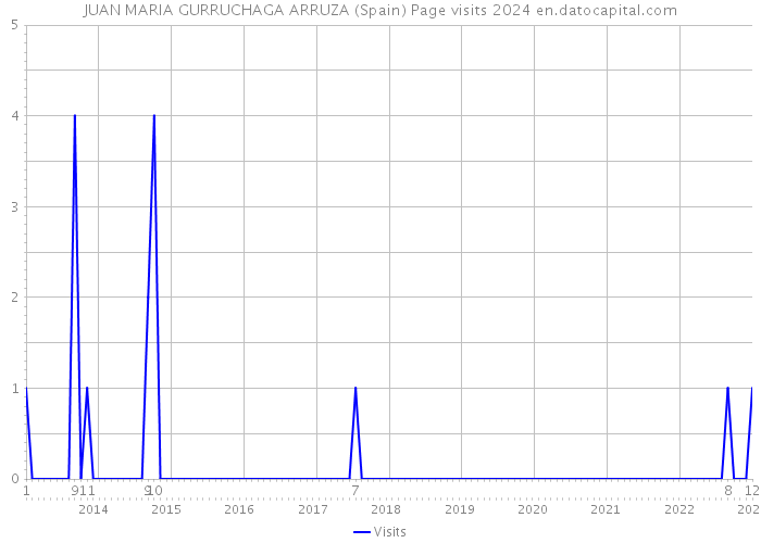 JUAN MARIA GURRUCHAGA ARRUZA (Spain) Page visits 2024 