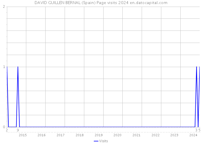 DAVID GUILLEN BERNAL (Spain) Page visits 2024 