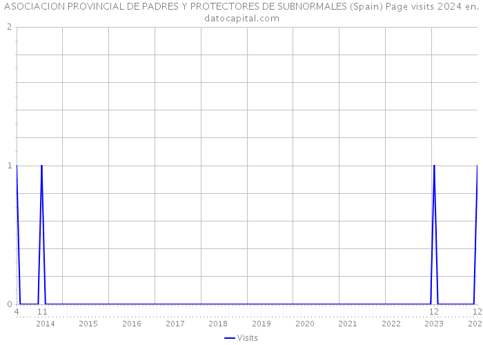 ASOCIACION PROVINCIAL DE PADRES Y PROTECTORES DE SUBNORMALES (Spain) Page visits 2024 