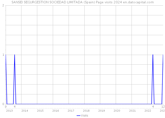 SANSEI SEGURGESTION SOCIEDAD LIMITADA (Spain) Page visits 2024 