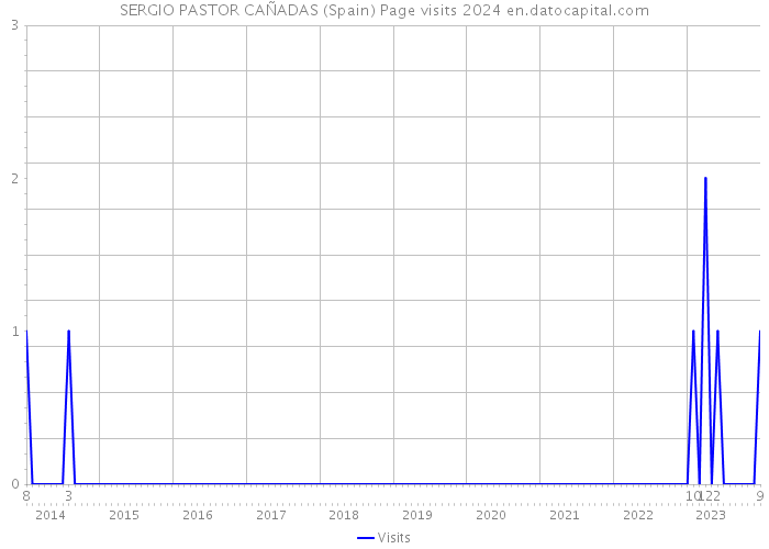 SERGIO PASTOR CAÑADAS (Spain) Page visits 2024 