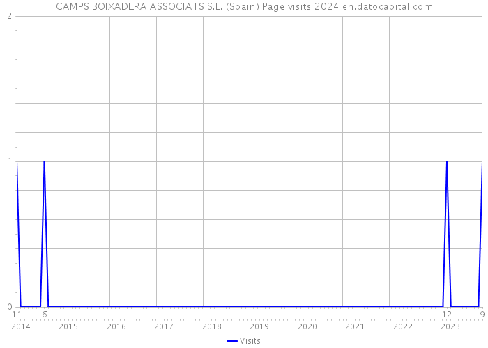 CAMPS BOIXADERA ASSOCIATS S.L. (Spain) Page visits 2024 