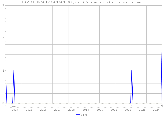 DAVID GONZALEZ CANDANEDO (Spain) Page visits 2024 