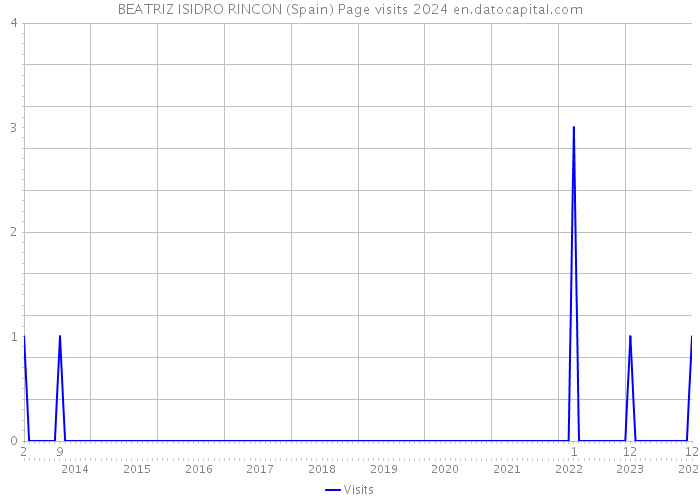 BEATRIZ ISIDRO RINCON (Spain) Page visits 2024 