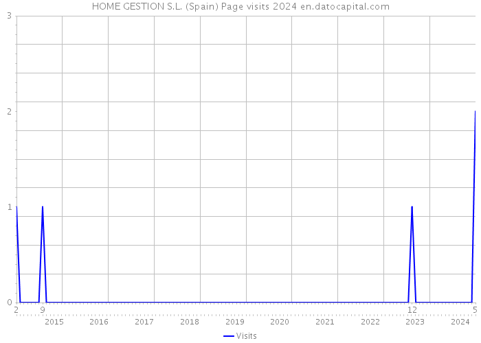 HOME GESTION S.L. (Spain) Page visits 2024 