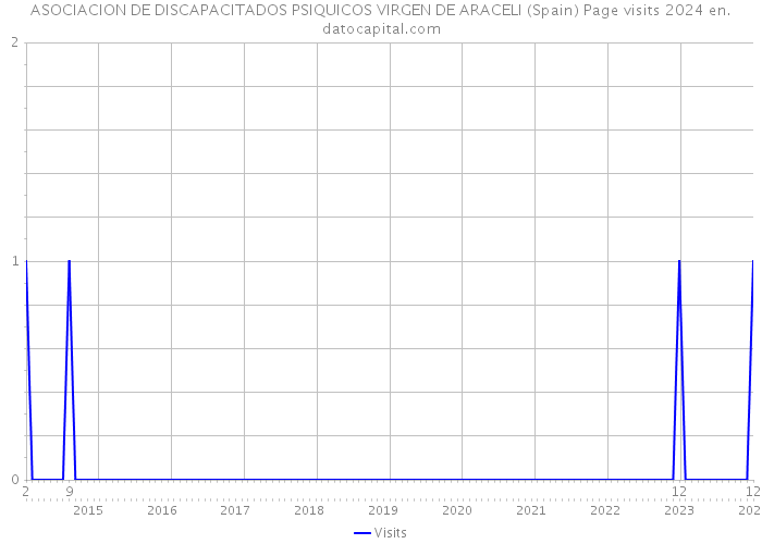 ASOCIACION DE DISCAPACITADOS PSIQUICOS VIRGEN DE ARACELI (Spain) Page visits 2024 