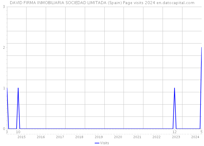 DAVID FIRMA INMOBILIARIA SOCIEDAD LIMITADA (Spain) Page visits 2024 