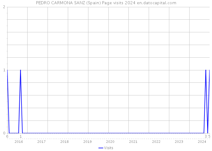 PEDRO CARMONA SANZ (Spain) Page visits 2024 