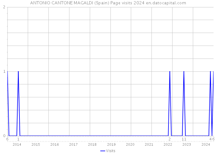 ANTONIO CANTONE MAGALDI (Spain) Page visits 2024 