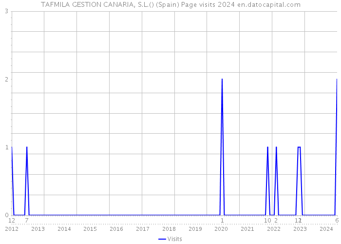 TAFMILA GESTION CANARIA, S.L.() (Spain) Page visits 2024 