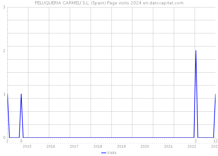 PELUQUERIA CARMELI S.L. (Spain) Page visits 2024 