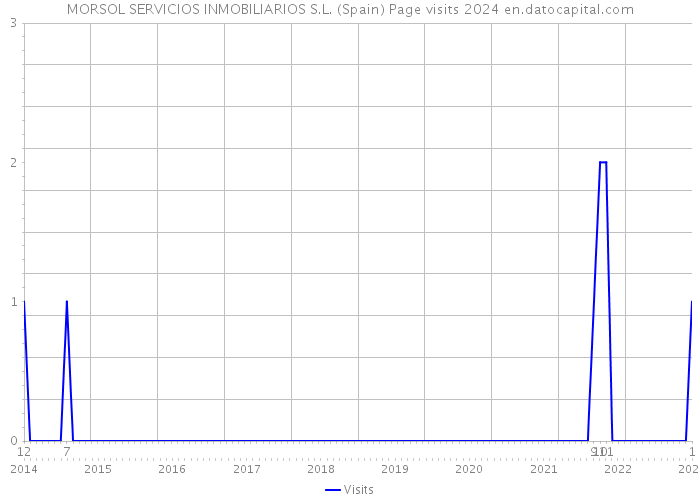 MORSOL SERVICIOS INMOBILIARIOS S.L. (Spain) Page visits 2024 