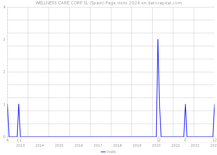WELLNESS CARE CORP SL (Spain) Page visits 2024 