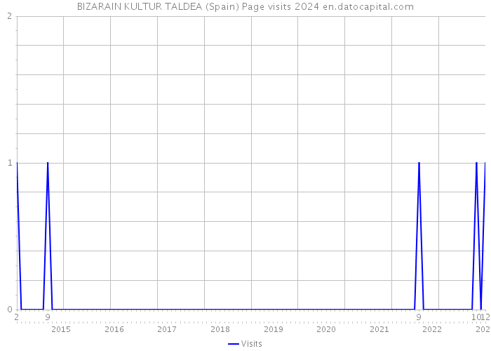 BIZARAIN KULTUR TALDEA (Spain) Page visits 2024 