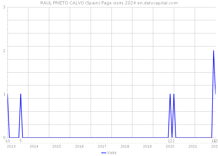 RAUL PRIETO CALVO (Spain) Page visits 2024 